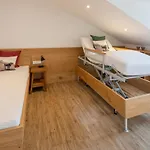 Monusse Boid 12